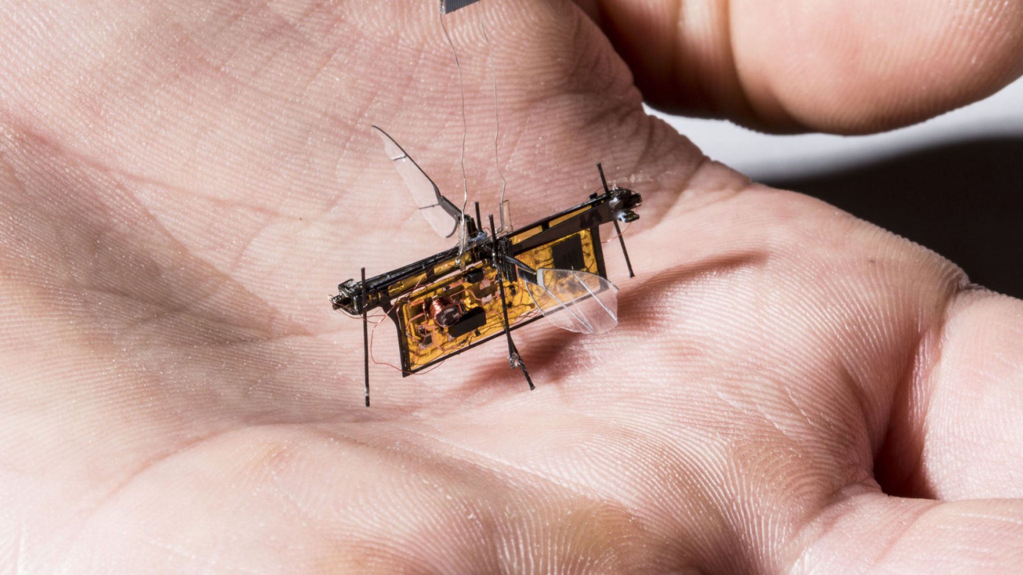 RoboFly-Insect-Sized-Robot-That-Can-Fly-Walk-And-Roam-On-Water-Surfaces